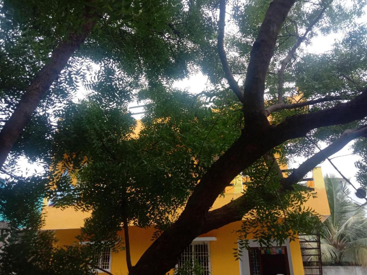 Thendral Hostel Monthly Rental Pondicherry Exterior foto